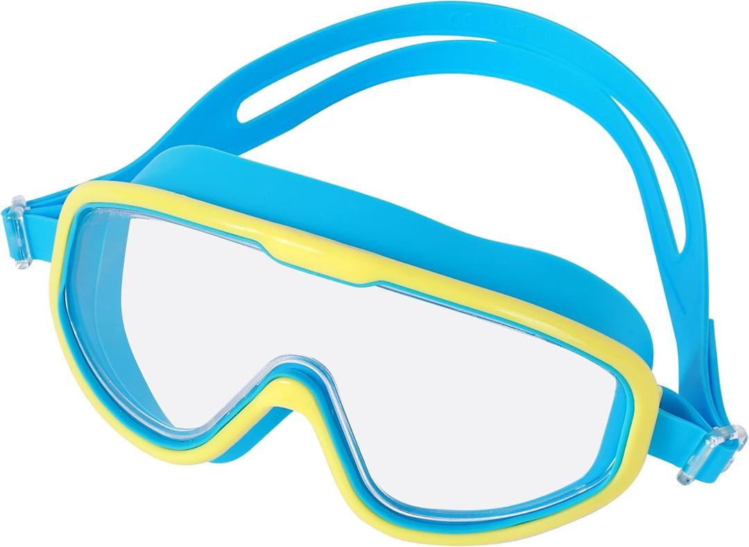 Unisex Swimming Goggles With a Hard Case for Men and Women Anti-Fog No Leak Mirror/Non-Mirror Lens