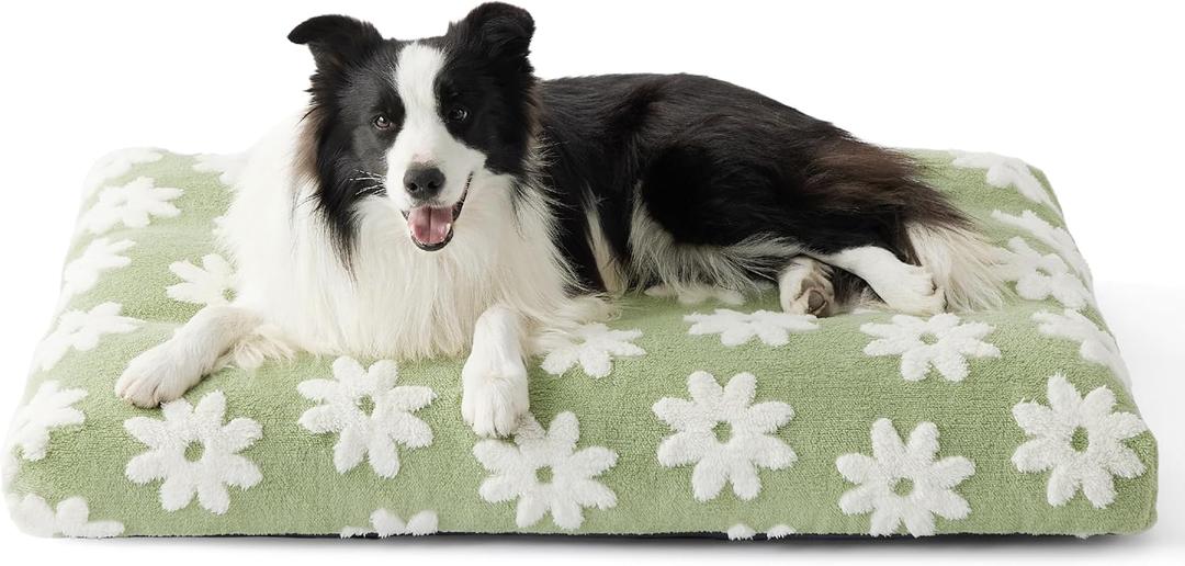LE SURE Large Dog Beds-Thick Shredded Chopped Foam Pet Bed as Gift for Indoor with Removable Cover, Cute Modern Fuzzy Plush & Anti Slip Bottom, Green (36.0"L x 27.0"W x 4.0"Th)