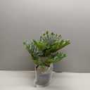 Briful Artificial Monstera Plant in Black Pot, 18" Tall Faux Tropical Greenery Potted Philodendron Plant for Home Office Tabletop Shelf Decoration