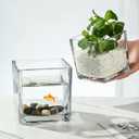 Set of 6 Square Glass Vases for Centerpieces 4" x 4" x 4" Clear Short Vases, Flower Vase, Plant Terrariums, or Candle Holders for Wedding Centerpieces, Office Decor, Home Dcor, Parties