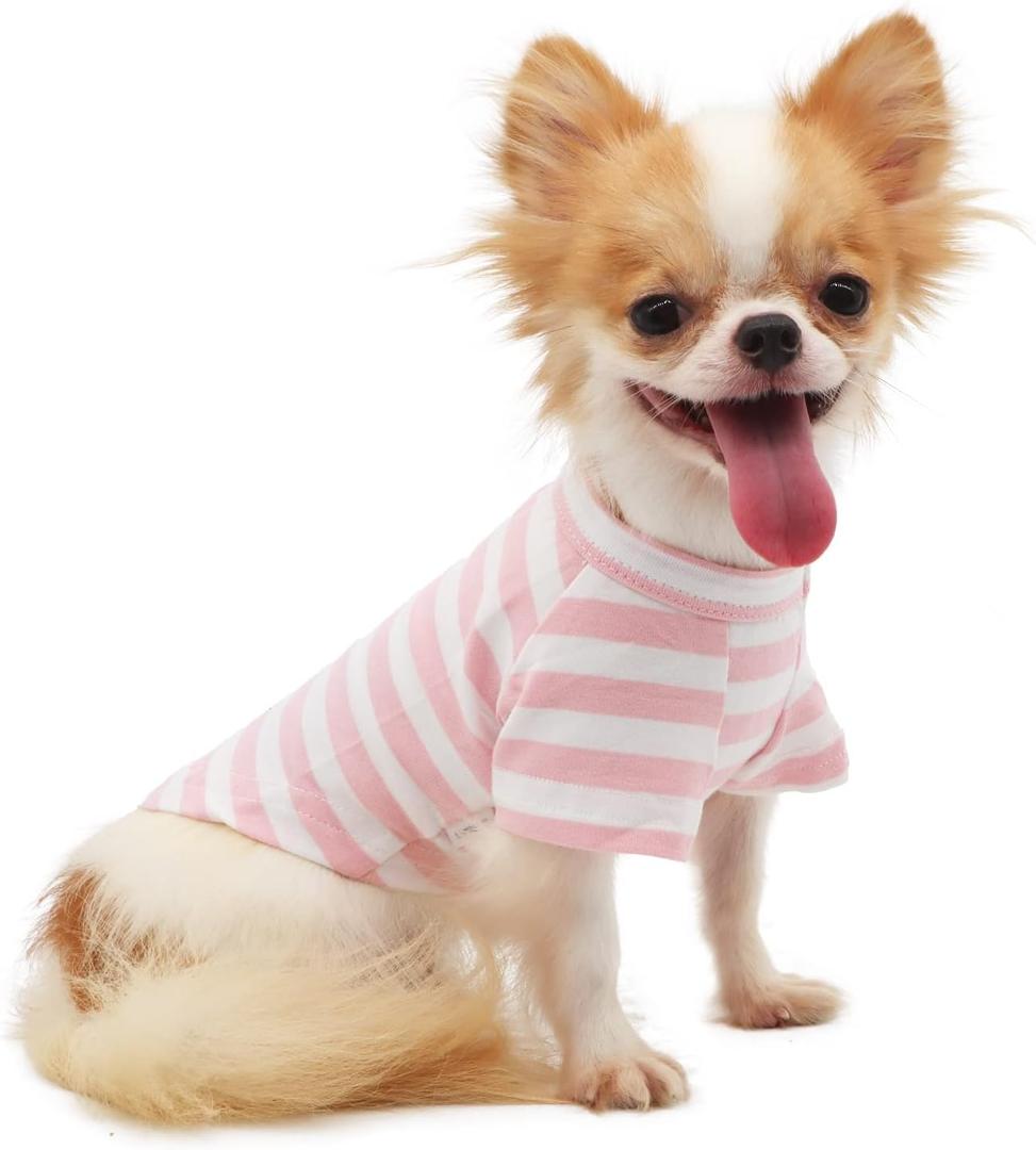 LOPHIPETS 100% Breathable Cotton Striped Dog Tee Shirt T-Shirt for Dogs Chihuahua Puppy Clothes -Pink and White Strips/M (Medium for 4.5-6.5 lbs)