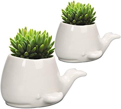 GeLive Set of 2 Whale White Ceramic Succulent Planter Air Plant Pot Window Box Decorative Container, 4 Inch, Indoor Outdoor Usage