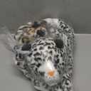 MaoGoLan Snow Leopard Stuffed Animals with Babies,4 Pcs Leopard Plushies for Girls,Mama and Baby Cheetah Stuffed Animal,Cheetah Plushies with 3 Cubs for Kids,Christmas Birthday Gift