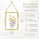 Pressed Flower Frames with Tweezers,Wall Hanging Double Glass Frames 2x3 with Metal Chain for Dried Flowers Plants,Floating Photo Frame for Display Gallery Artwork,Golden, 4 Pack