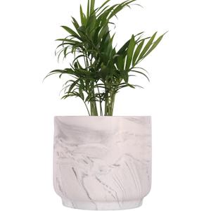 Ceramic Plant Pot 6 Inch Marble Planter Pots with Drainage Holes & Mesh Pads, Modern Plant Pot for Indoor Outdoor Plants-Cylinder Round Planter Pot