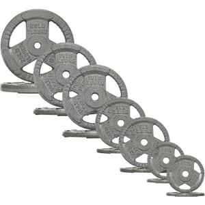 Fitvids Standard Cast Iron 1-Inch Weight Plates for Strength Training & Weightlifting, 35LB/70LB/120LB (Gray)