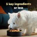 Cesar Simply Crafted Adult Wet Dog Food Toppers for Dry Food, Chicken, 1.3 oz Tubs, 10 Count (EXP 03/12/28)