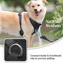 No Pull Dog Harness for Small Medium Large Dogs - Adjustable 2 Layer Mesh Dog Vest with Dual Clip, Escape Proof, Quick Release, Lightweight Breathable Mesh for Walking Hiking (Black,M)