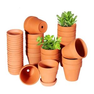 3 Inch Terracotta Pots with Saucer-20 Pack，Cactus Terra Cotta Flower Pot with Drainage，Succulent Nursery Clay Pots Great for Plants,DIY Crafts, Wedding Favor