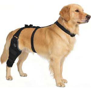 Dog Knee Brace for Torn ACL Hind Leg,Hot&Cold Gel Pack,Stay-Put Anti-Slip for CCL Recovery, Arthritis,Relieve Swelling&Pain and Rehabilitation,Reflective,Breathable Adjustable-Right Leg/L Size