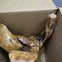 WELLAND Natural Tree Stump Stool, 19'' Tall Side Table, Live Edge Stool, Natural Edge End Table, Accent Table, Plant Stand for Living Room, Bedroom 