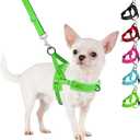 SlowTon No Pull Small Dog Harness and Leash Set, Puppy Soft Vest Harness Neck & Chest Adjustable, Reflective Lightweight Harness & Anti-Twist Pet Lead Combo for Small Medium Dogs (Green-Front Clip,XS)