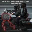 Passenger Rear Sissy Bar Backrest, Quick Release Detachable