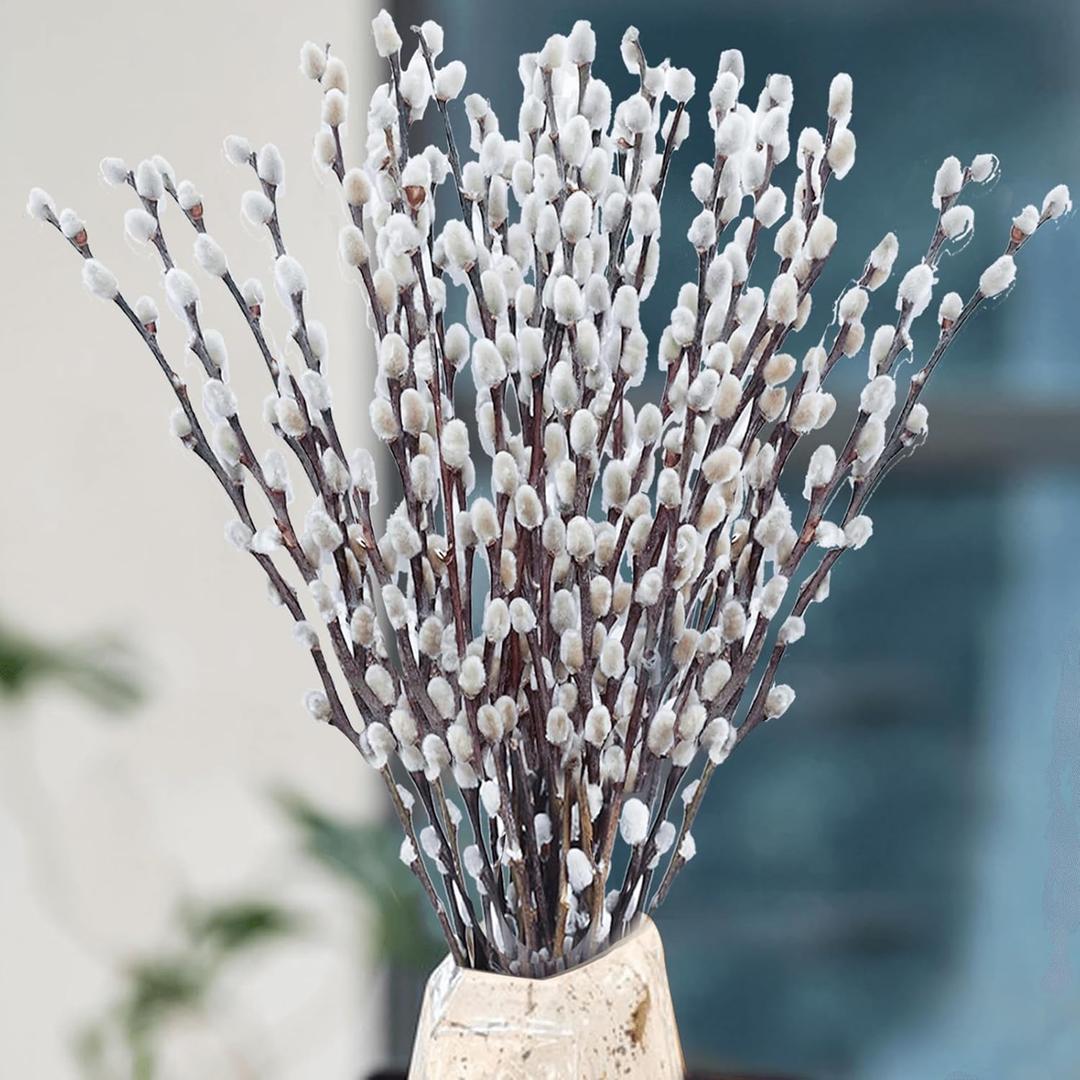 Oning 30 Stems Real Dried Pussywillow Preserved Greenery Branches for Vase- Natural Pussywillows with White Flowers, 16''-17'' Snow Willow Branches for Easter Wedding Home Party Hotel Fireplace Decor
