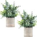 Coferset 2 Pack Small Fake Plants Eucalyptus Potted Artificial Plants for Shelf Desk Home Bathroom Farmhouse Room Coffee Table Decor (Sage Green)