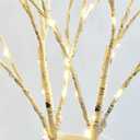 BAOLITVINE Lighted Birch Branches with Timer 70 Fairy Lights 18IN, Twig Lights for Indoor Outdoor Home Christmas Wedding Vase Decorations