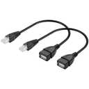 GINTOOYUN 2 Pcs USB to RJ45 Cable USB to RJ45 Ethernet Cable USB Female to RJ45 8P4C Ethernet Male Extension Cable for Router,ADSL Modem,Camera etc(11.81 Inch)