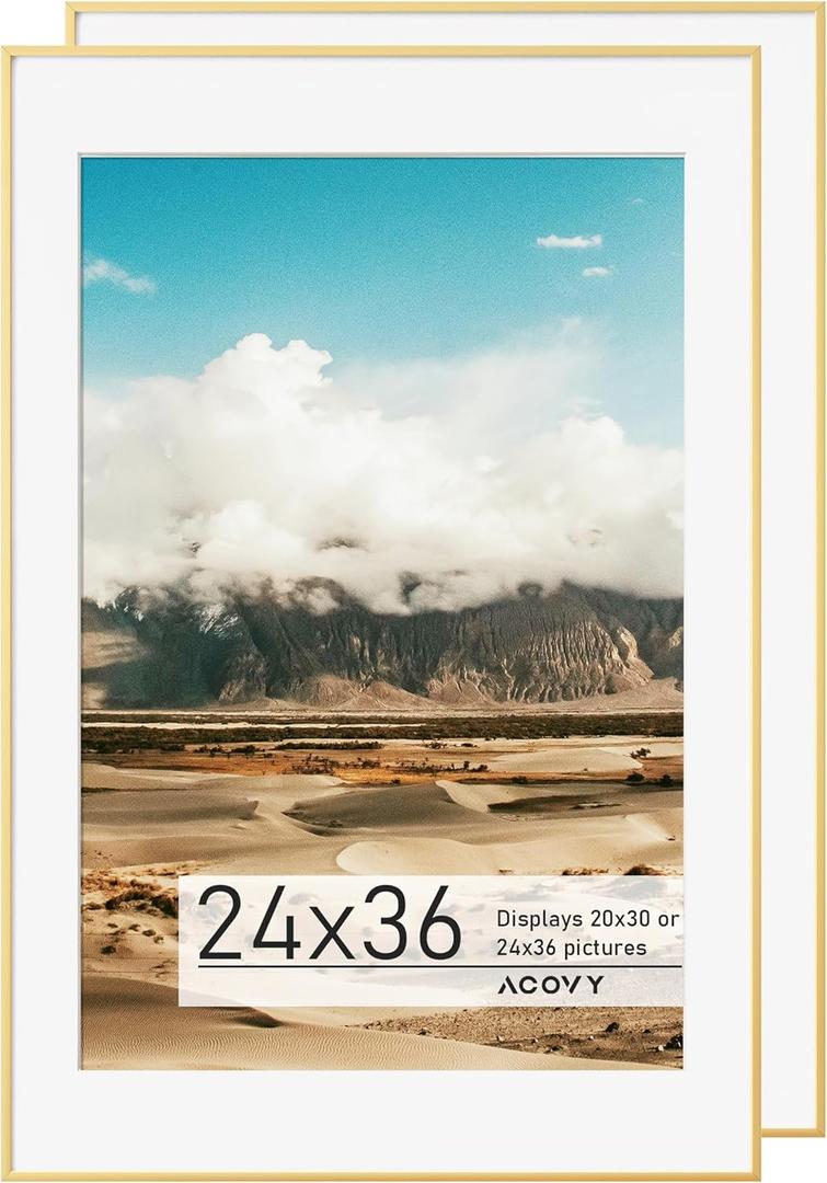 Premium Aluminum Picture Frame, 24x36 with Mat for 20x30, HD Tempered Glass, Metal Photo Frame for Wall Display (Gold, Pack of 2)