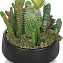 DILATATA Artificial Cactus Plants in Pot 5.5 Inch Fake Succulents Arrangement Potted Plant in Black Ceramic Planter Bowl for Home Office Desk Shelf Living Room Bedroom Bathroom Decor