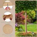 328Ft Tree Protector Paper Wraps Tree Wrap for Winter Resistant Tree Bark Repair Wrap Outdoor Use Tree Trunk Bandage Protect Against Frost Insects Keeping Warm and Moisturizing