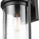 Xavier 1-Light Matte Black Hardwired Outdoor Indoor Wall Lantern Sconce with Seeded Glass Shade