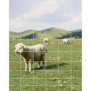 Cattle Farm Fence, 6x328ft Galvanized Wire Fencing 14GA Heavy Zinc Coating Wire Fencing, for Goat Deer Yard Livestock Animals Protection (6x328ft(14GA))