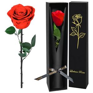 Single Forever Roses Luxury Gift for Women/Men, Fresh Flowers Bouquet for Girlfriend, Wife, Mom, Anniversary, Valentine's Day, Wedding, Graduation, Christmas, Birthday, Unique Presents for Her, Red