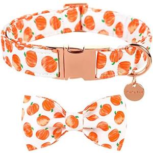 UP URARA PUP Halloween Dog Collar with Bow Tie, Pumpkin Cotton Bowtie Collar for Small Girl Boy Dog, Fall Dog Collar Bowtie with Durable Metal Buckle, Adorable Pumpkin Pet Collar, S