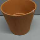Flower Pot
