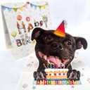 3 x Staffordshire Bull Terrier Birthday Card 3D Pop Up  Staffy with Party Hat & Birthday Cake, Funny Birthday Card for Staffy Lovers, Staffordshire Bull Terrier Mom Dad Gift, 6x6 Inch, Includes Envelope