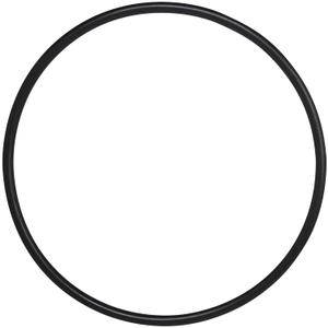 AppliaFit Strainer Cover O-Ring Compatible with Hayward SPX4000S for Hayward Northstar Pool Pumps (2008 and Later) (1-Pack)