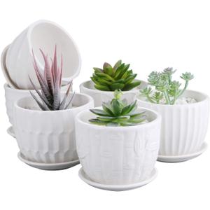 Brajttt Flower Pots, 4 Inch Cylinder Ceramic Plant Pots with Connected Saucer, Mini Ceramic Planters for Succulent and Little Snake Plants (6 Pack, White)