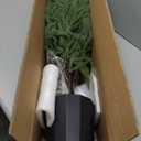 BLOSMON Outdoor Christmas Trees for Porch: 4 Ft Norfolk Pine Tree with 100 LED Lights Remote Control Timer 8 Lighting Modes - Small Artificial Cypress Trees Indoor Table Top Decor