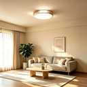 Modern LED Ceiling Light, Wood Dimmable Flush Mount Ceiling Light Fixture, 20.47 in