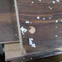 Sauder 5 Tier Book Shelf Wooden Bookcase Multipurpose Bookshelf for Home Office, Living Room, in Grand Walnut