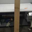 NICREW ClassicLED Plus LED Aquarium Light with Timer, 32 Watts, for 48 to 54 Inch Fish Tank Light, Daylight and Moonlight Cycle