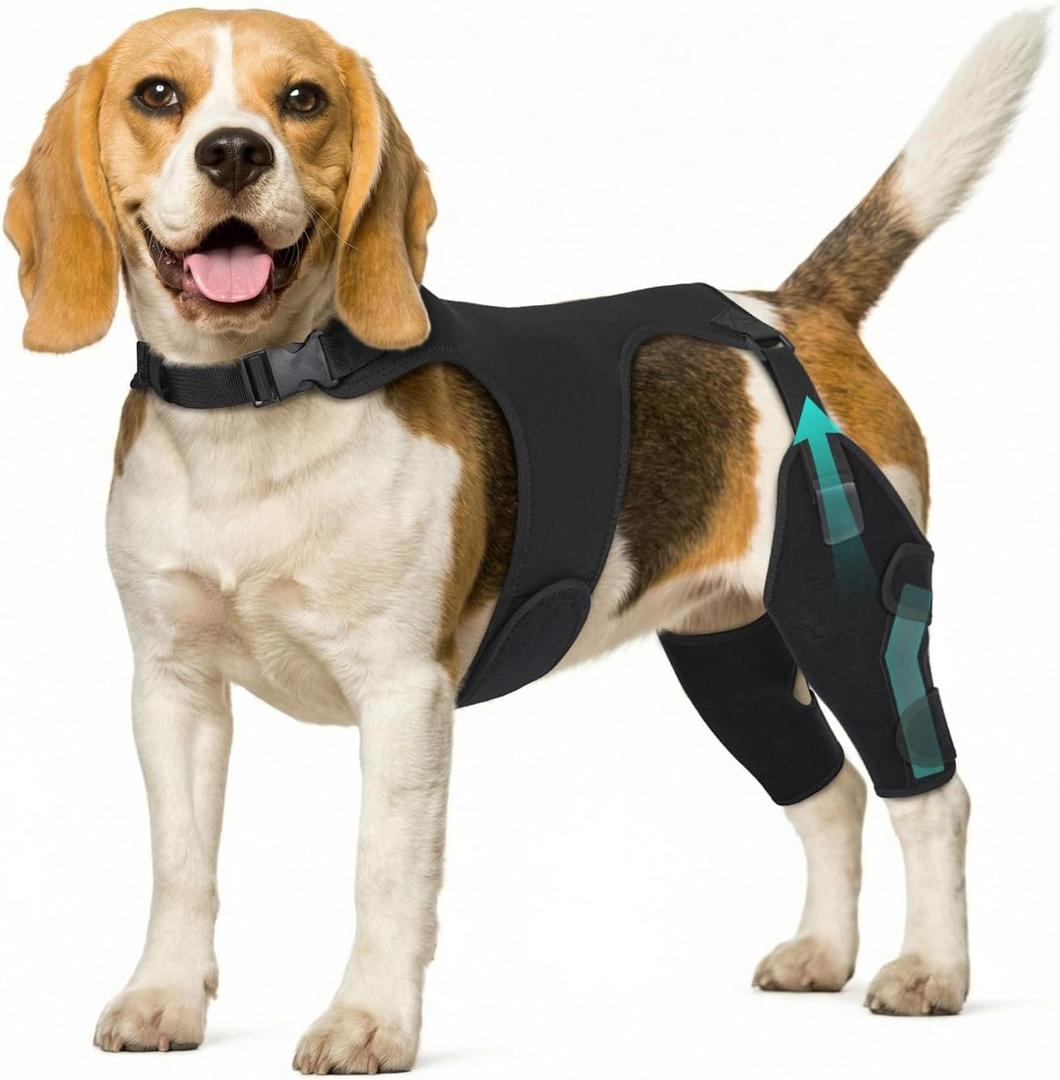 Dog Knee Braces for Back Leg, Adjustable Leg Brace with 2 Stabilizers, Hip Support to Reduces Pain, Ligament Injuries, ACL CCL & Luxating Patella for Dogs, M