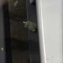 Hand Rails for Outdoor StepsStair Handrail & Indoor Stair Railing KitRailings for Outdoor Steps for Fence & Outdoor Steps (1, Black-with Balusters, 2 Step)