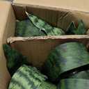 Artificial Sansevieria Plant Fake Snake Plant in Plastic Pot, 22" Tall Real Touch Fakes Plants for Home Decor Indoor, Lifelike Succulent Like Plant for Office Bedroom Living Room-Green