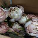 Thiccywoov 12 Pcs Faux Peony Stems Flowers Bulk Vintage Artificial Silk Peonies Stems Real Look Fake Peonies Branch for Vase Filler DIY Bouquet Centerpiece Home Indoor Outdoor Decor (Brownish)