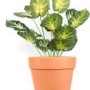 Yishang 11 Inch Terracotta Pot Saucer - 2pcs Large Round Clay Plant Tray with Drainage Hole, Perfect for 10/11/12 Inch Flower Pot, Indoor/Outdoor