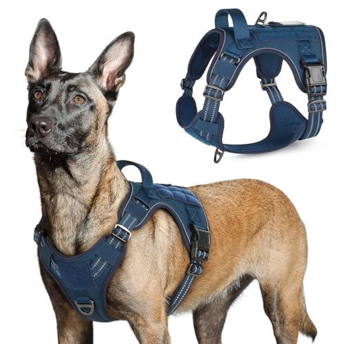 rabbitgoo Tactical Dog Harness for  Dogs, No Pull Military Service Vest with Handle & Molle, Easy Control for Training Walking, Adjustable Reflective Straps, Blue, Large