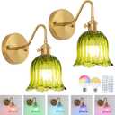 Vintage Battery Operated Wall Sconces Set of Two, RGB Dimmable LED Wall Light with Remote Control, Green Glass Lampshade Wall lamp with 15 Colors for Bedroom, Living Room, Home Decor