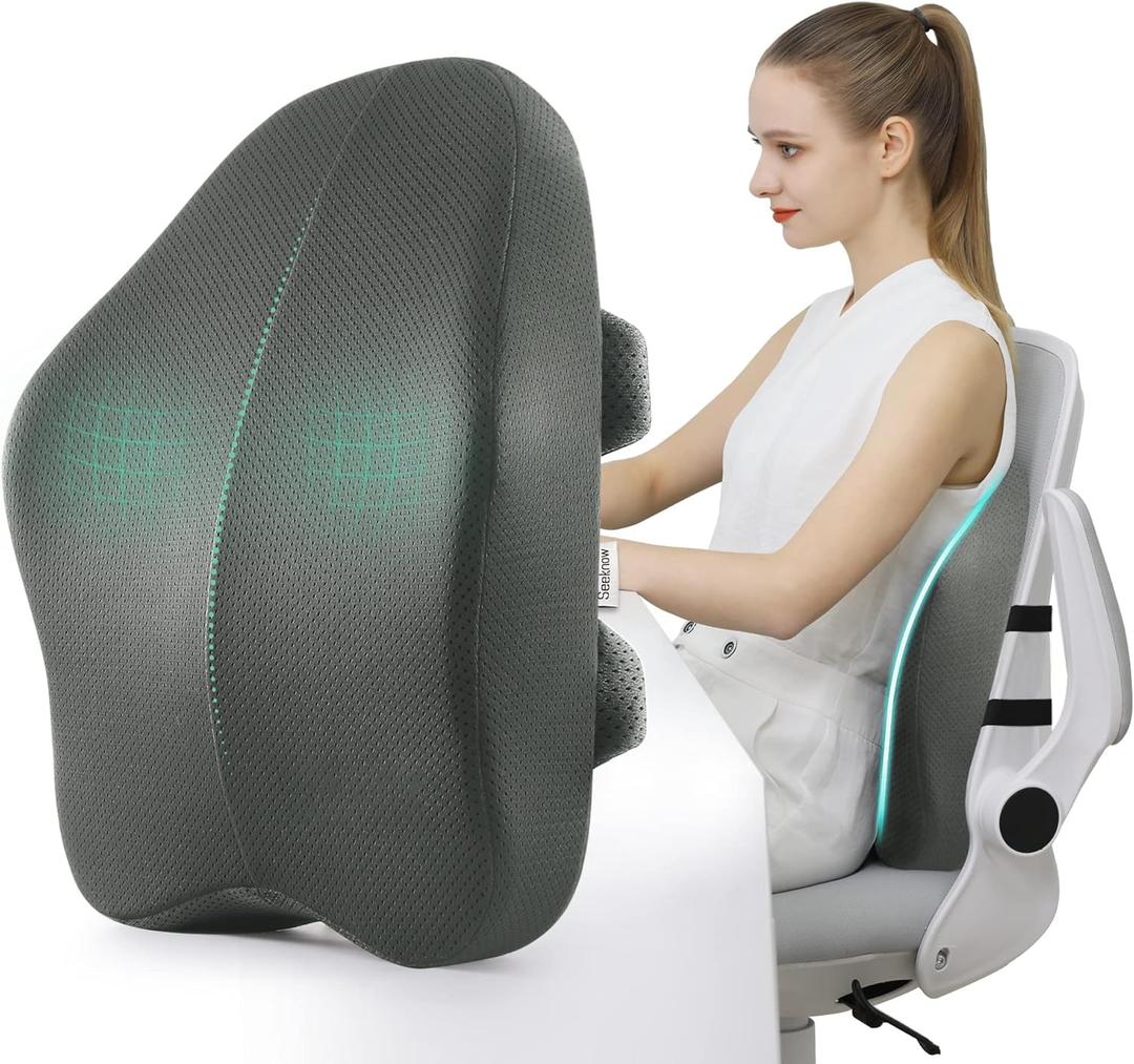 Lumbar Support Pillow for Office Chair Back Support Pillow for Chair Car Seat Back Support Ergonomic Back Chair Pillow Desk Chair Back Cushion for Back Pain Back Rest Pillow Lumbar Back Support (Grey)