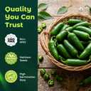 4 x 200 Heirloom Jalapeno Pepper Seeds for Planting – Hot Pepper, High Germination, Fast-Growing, Ideal for Home Garden, Container, or Greenhouse