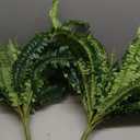 FOREST PRINCE 45" Fake Ferns, Realistic Large Artificial Bush Plants, 2 Artificial Boston Ferns with 59 Fronds for Outdoors Planter Indoor Home Garden Porch Decor (Green)