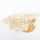 Natural dried flowers 50g,Dry Flower Natural Leaves Branch,Floral Arrangement Art Home Wedding Party Decoration Table Accessories,Immortal Bouquet Wedding party decoration (White)
