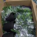 Der Rose 8Pcs Fake Plants Hanging Artificial Ivy Vine Faux Eucalyptus Hanging Plants for Home Boho Wall Shelf Indoor Outdoor Decor (Black Pots)