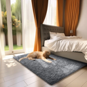Ophanie Small Rug Upgrade Non Slip Throw Bedside Area Rugs, Fluffy Soft Grey Mini Bedroom Carpet, Affordable Indoor Entrance 2x3 Mat, Home Decor Aesthetic, Nursery