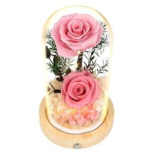 Flowers, Roses, Gifts–Flowers Bouquet & Forever Flowers for Delivery Prime - Preserved Flowers Birthday Gift for Women, Valentine's, Mother's Day, Christmas–Lasting Fresh Roses, Battery Included